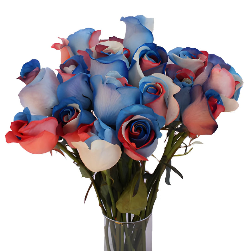 Patriotic Red, White and Blue Tinted Rainbow Roses