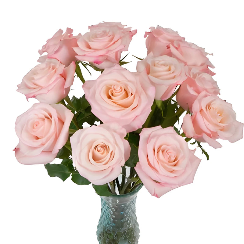 Cupcake Frosting Rose