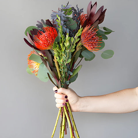 Rosado Waves Tropical Wholesale Bunch in a hand