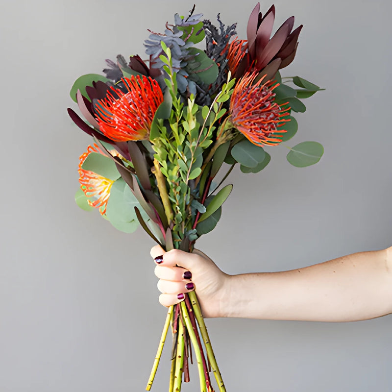 Rosado Waves Tropical Wholesale Bunch in a hand