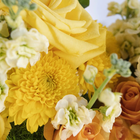 Rose At Dawn Centerpieces Close Up - Image