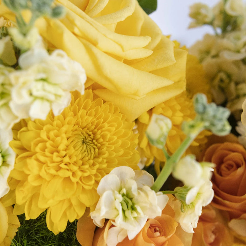 Rose At Dawn Centerpieces Close Up - Image