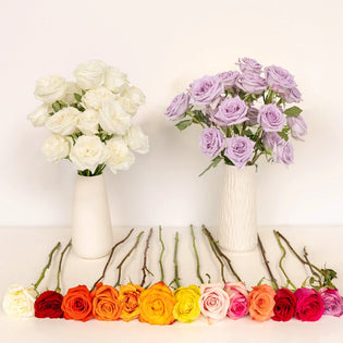 Roses For Mother's Day Close Up - Image