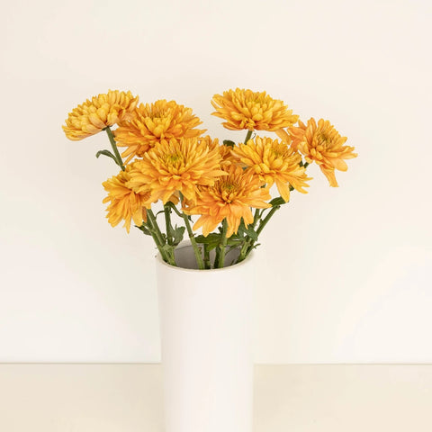 Rossano Orange Cremon Vase - Image