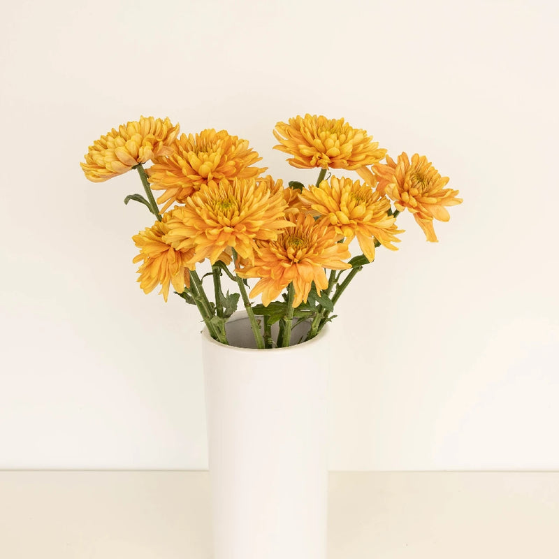 Rossano Orange Cremon Vase - Image
