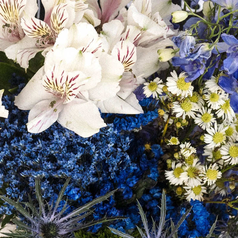 Royal Blue Textured Filler Flower Pack Close Up - Image