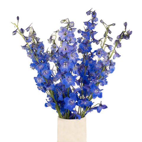 Royal Dark Blue Delphinium Vase - Image