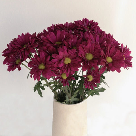Royal Fuchsia Daisy Flower Vase - Image