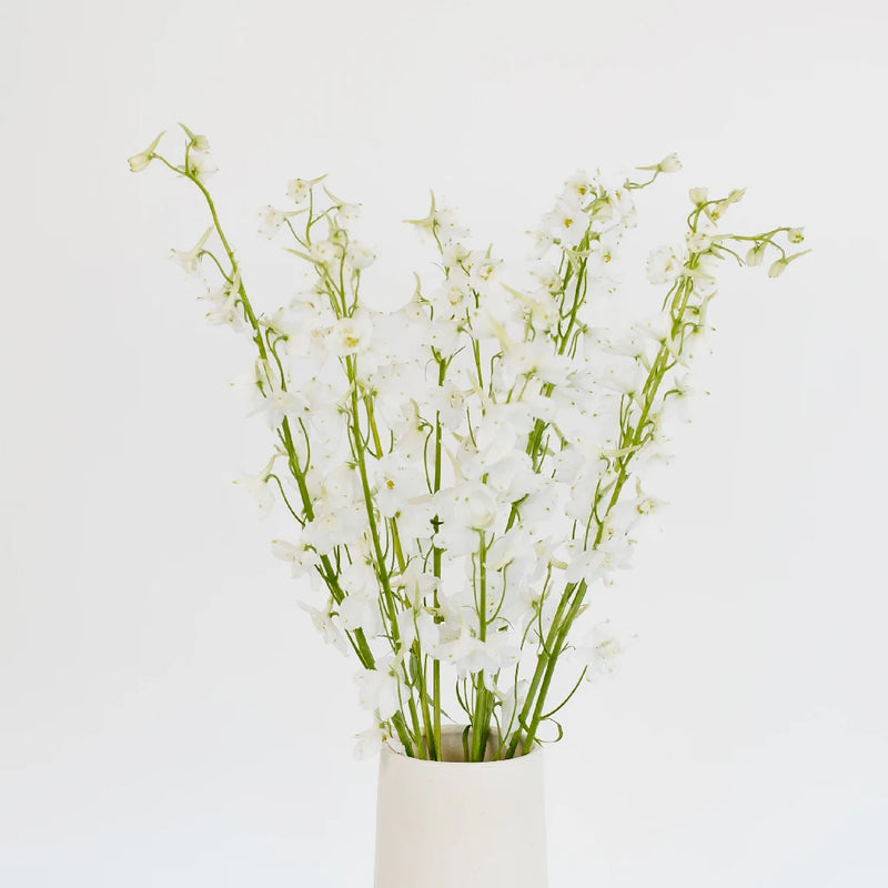 Royal White Delphinium Flower Vase - Image