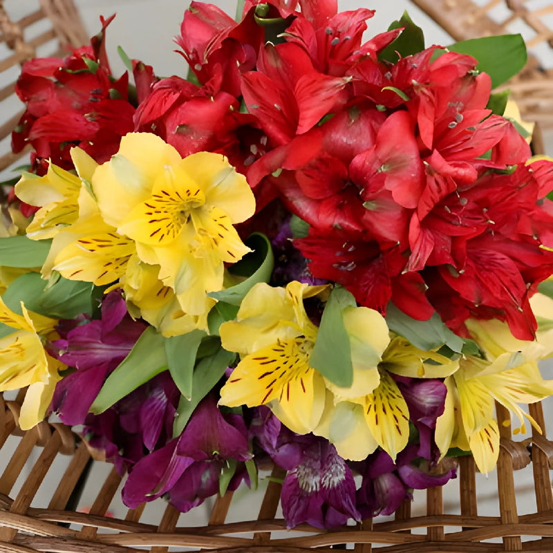 Save The Alstromeria Growers DIY Flower Kit