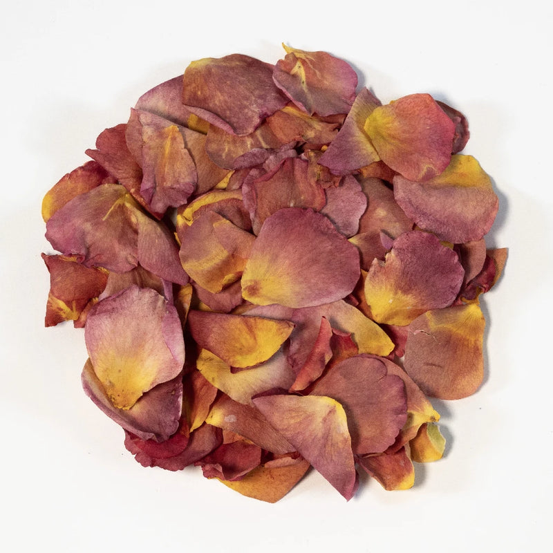 Rust Rose Dried Petals Stem - Image
