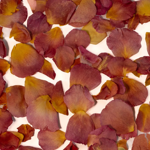 Rust Rose Dried Petals Vase - Image