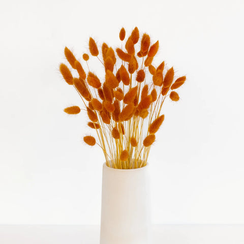 Rustic Brown Dried Bunny Tails Vase - Image