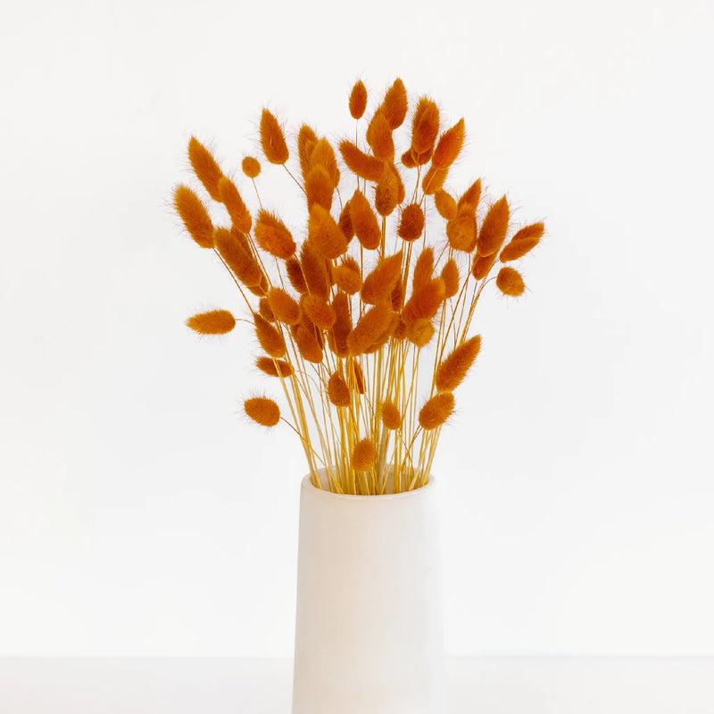 Rustic Brown Dried Bunny Tails Vase - Image