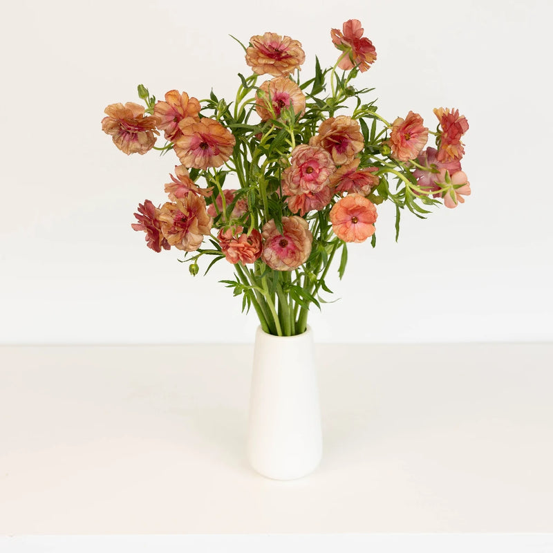 Rusty Orange Butterfly Ranunculus Flower Vase - Image