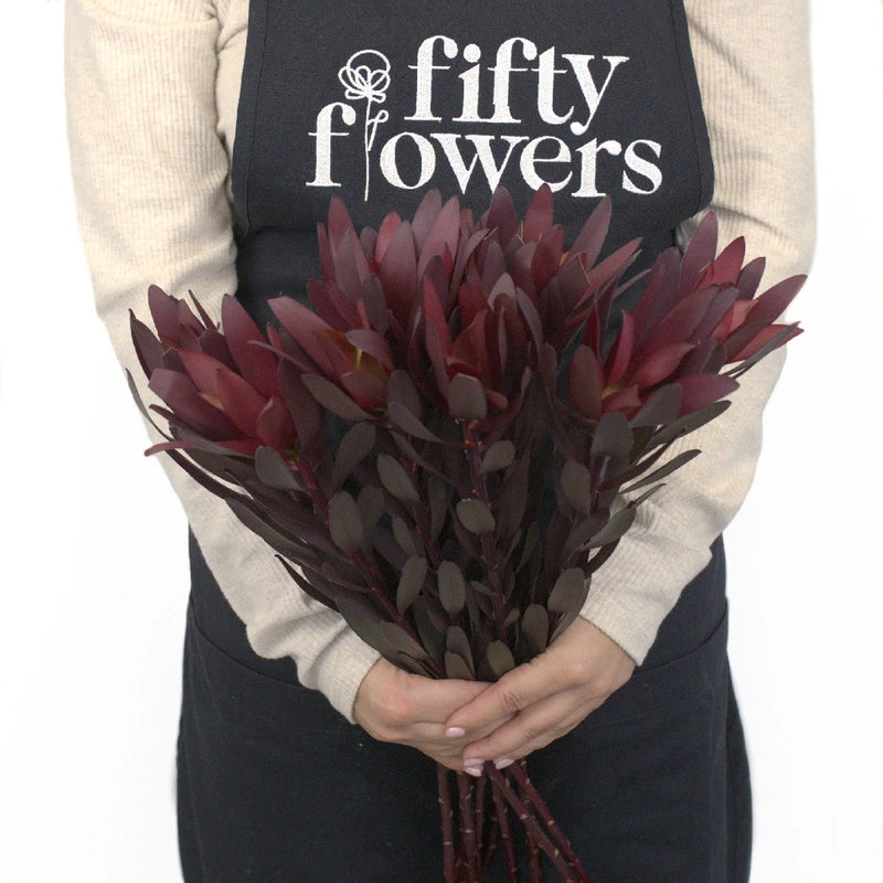 Safari Sunset Leucadendron Apron - Image