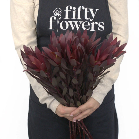 Safari Sunset Leucadendron Apron - Image