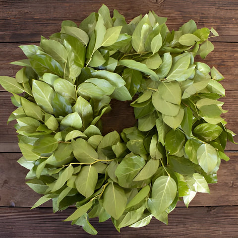 Fresh Salal Greenery Wreaths