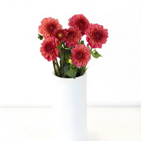 Salmon Dahlia Flower Vase - Image
