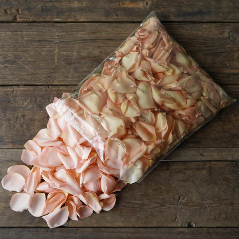 Salmon Fresh Rose Petals Wholesale