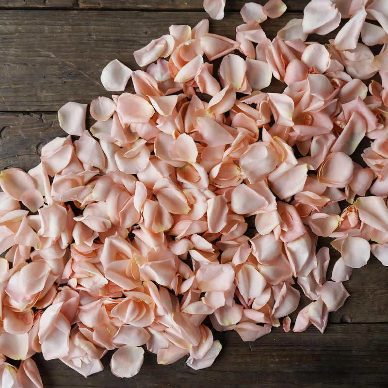 Salmon Rose Petals for sale