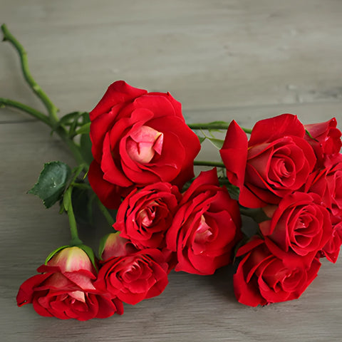 Salsa Red Orange Spray Rose Bunch