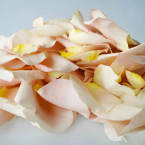 Buy Dried Rose Petals Sandy