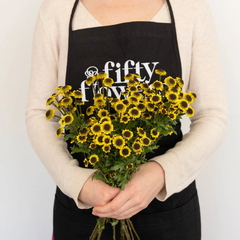 Santini Girasol Apron - Image