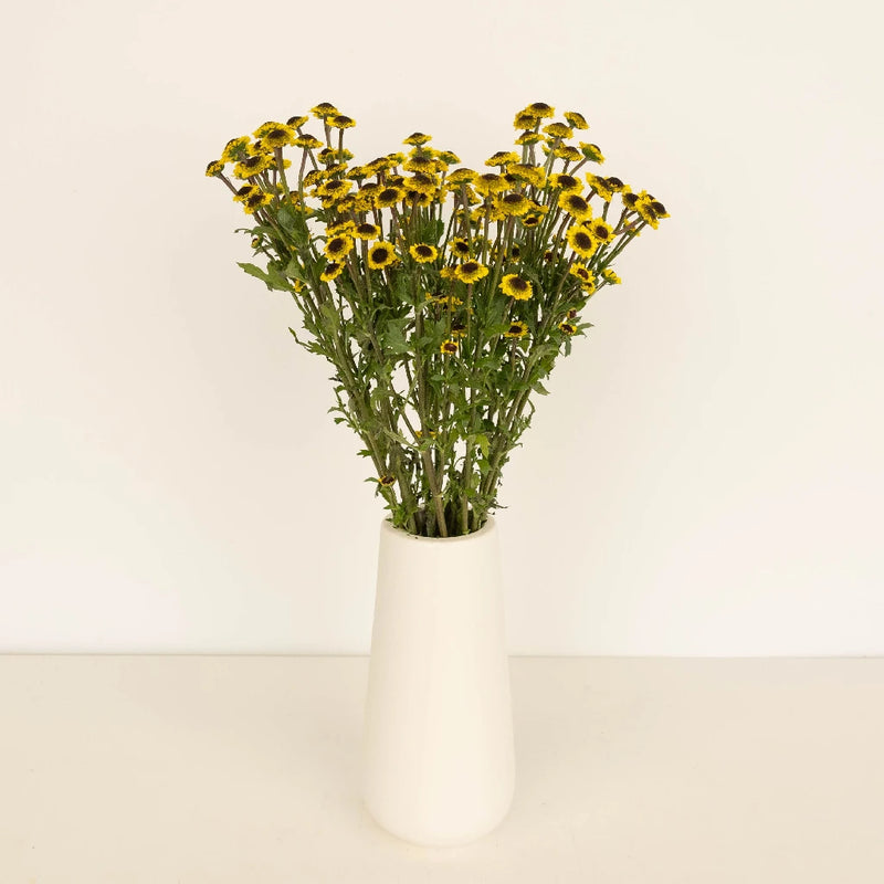 Santini Girasol Vase - Image