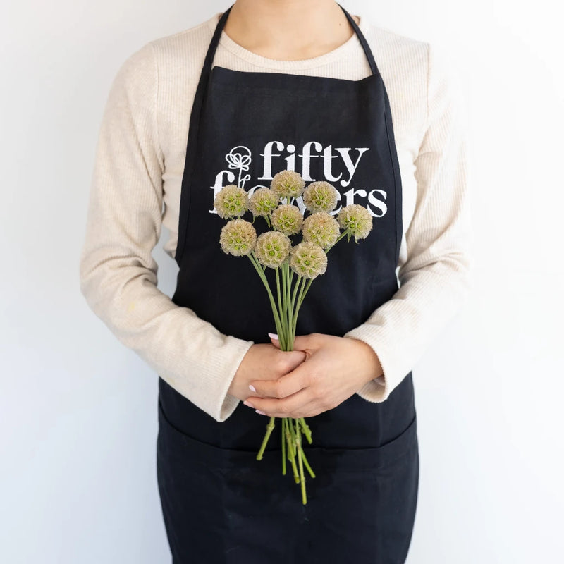 Scabiosa Pods Filler Flower Vase - Image