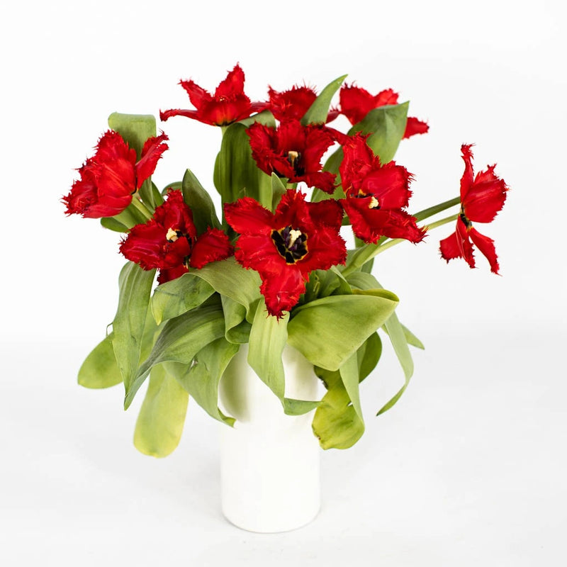 Scarlet Frill Wedding Tulip Vase - Image