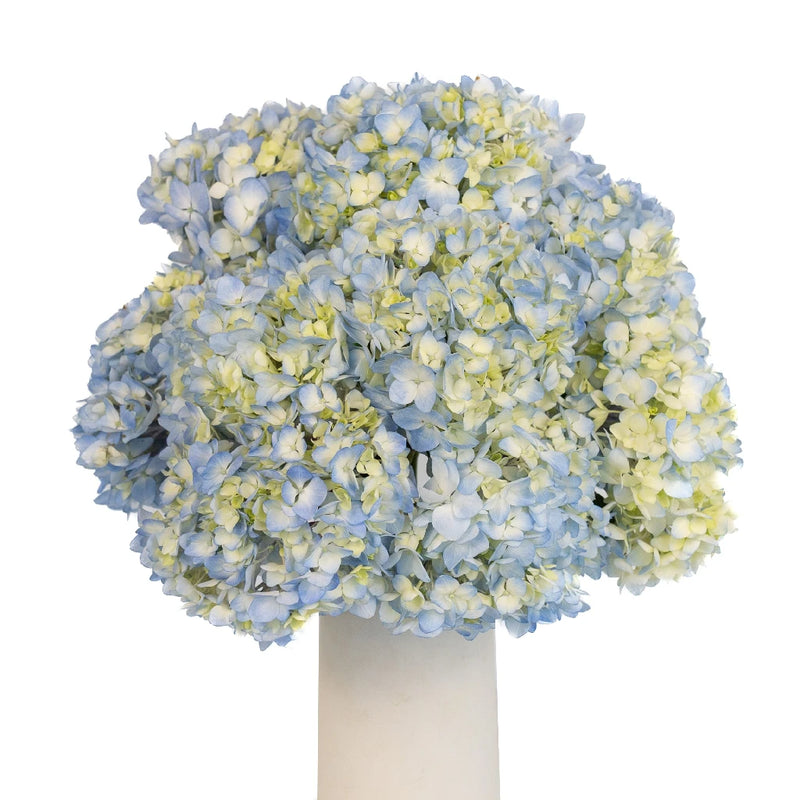 Sea Glass Blue Hydrangea Flower Vase - Image