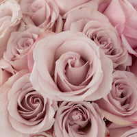 Secret Garden Rose Other - Image