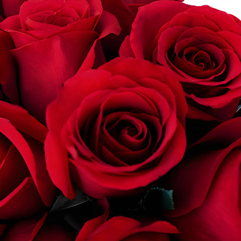 Sexy Red Bulk Red Roses