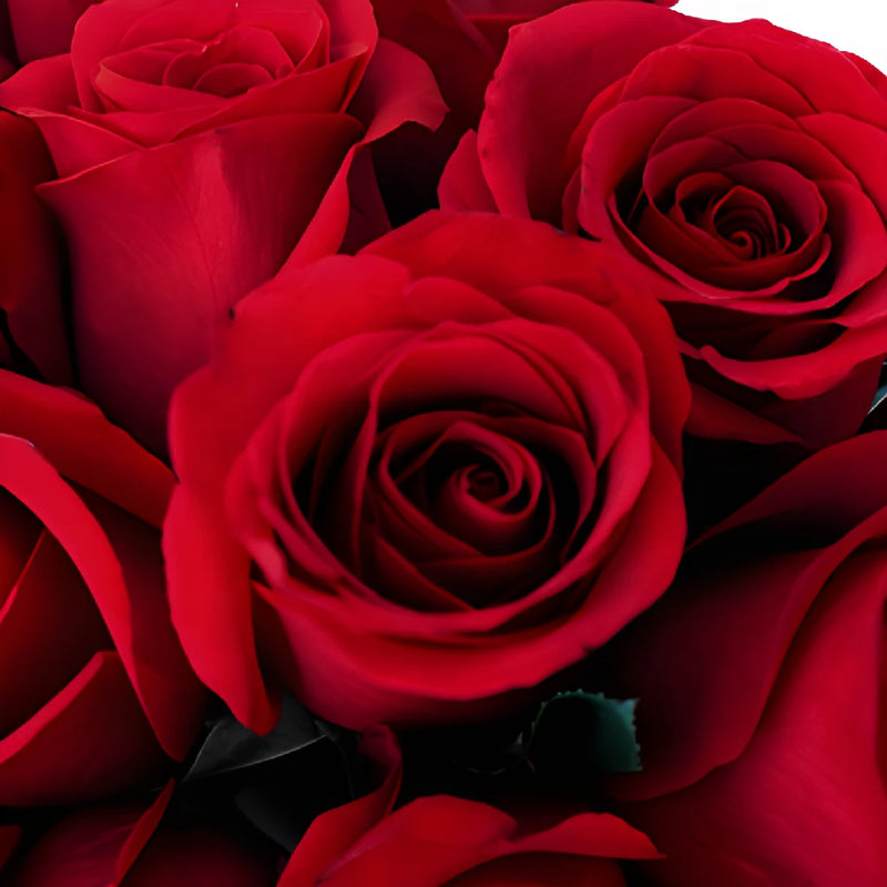 Sexy Red Bulk Red Roses