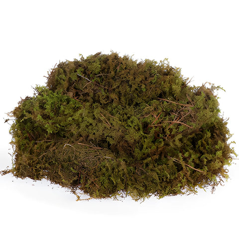 Fresh Sheet Moss