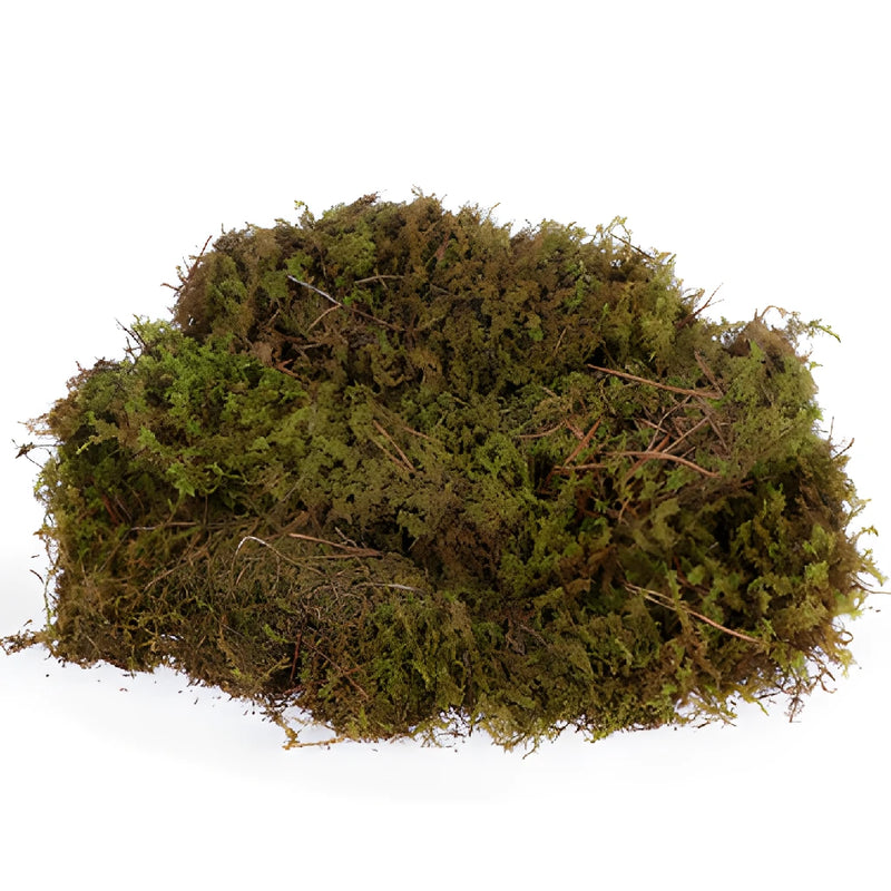 Fresh Sheet Moss