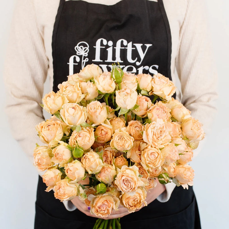 Shell Pink Sweetheart Garden Rose Apron - Image