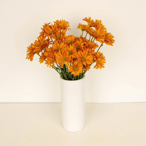 Sherbet Orange Daisy Flower Vase - Image