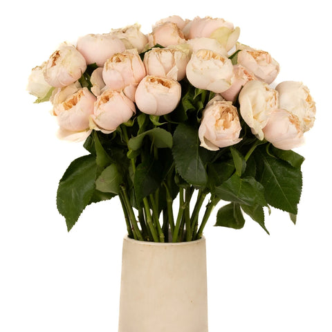 Sherbet Orange Garden Roses Vase - Image