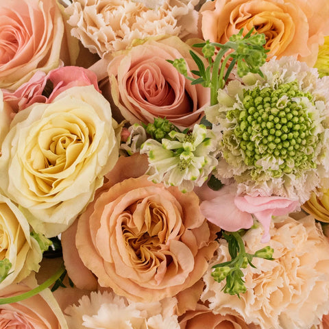 Shimmer Peach Rose Flower Bouquet Up Close
