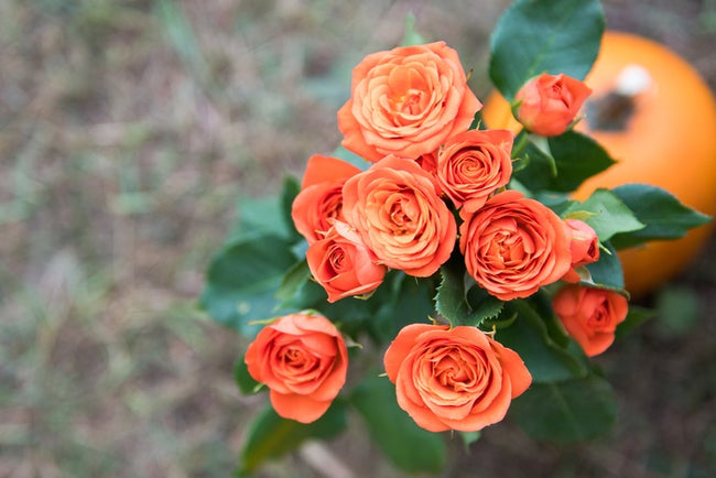 Bold Wildflower Wedding