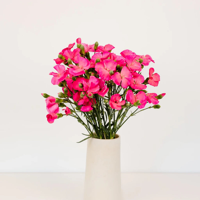 Shocking Pink Solomio Flower Vase - Image