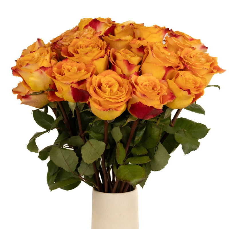 Silantoi Sunset Rose Vase - Image