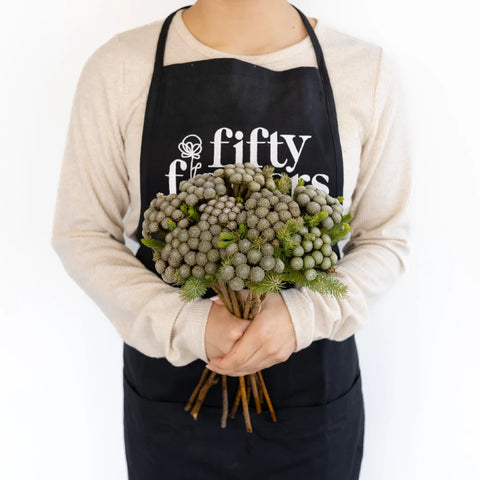 Silver Brunia Balls Apron - Image