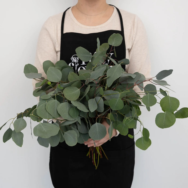 Silver Dollar Eucalyptus Greens Apron - Image