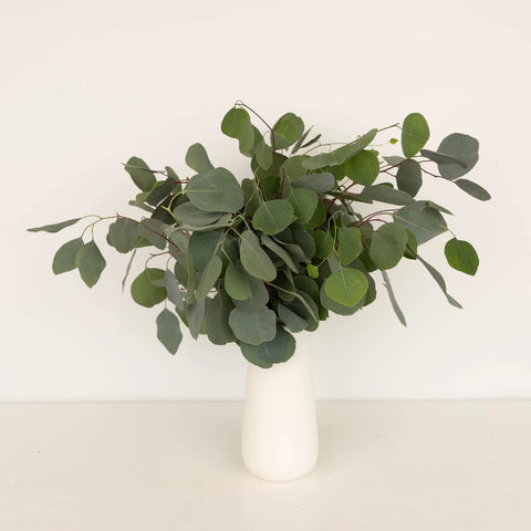 Silver Dollar Eucalyptus Greens Vase - Image