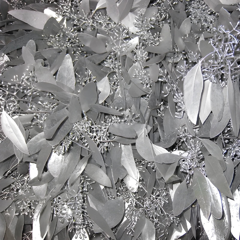 Silver Seeded Eucalyptus Wholesale Greenery Up Close