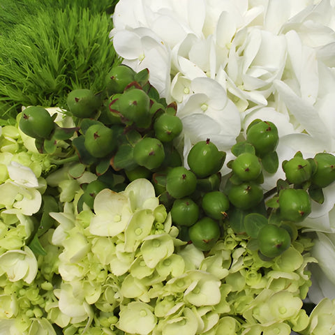 Simple Garden Fresh DIY Flower Kit Up Close