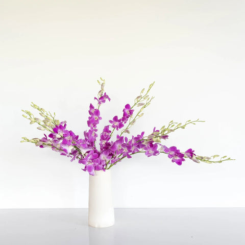 Sky Magenta Orchids Vase - Image